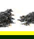 Té Assam TGFBOP Halmari