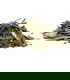 Té Verde sin teína Earl Grey
