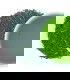 Té Gyokuro Tennen Asatsuyu Bio