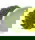 Té Verde Sencha Asanagi Bio