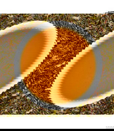 Rooibos verde Bio