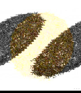 Rooibos verde Bio