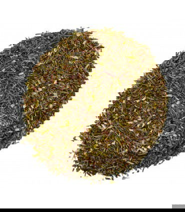 Rooibos verde Bio