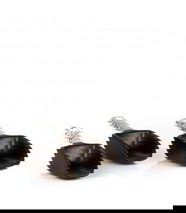 Pala Medidora de té Japonesa