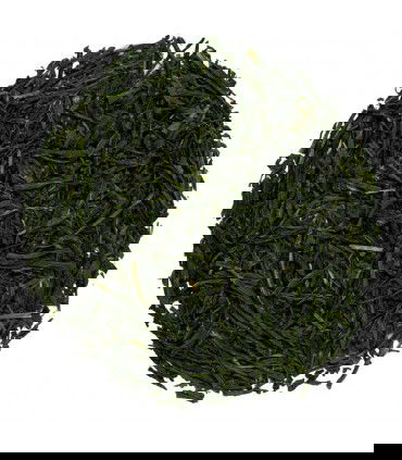 Té verde Gyokuro Hodoyoku Bio