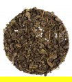 té verde Marroquí con hierbabuena