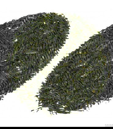Té verde Gyokuro Hodoyoku Bio