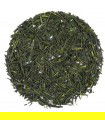 Té verde Gyokuro Hodoyoku Bio