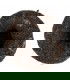 Té Pu Erh Xiaguan Big G Te Ji Ripe 2014