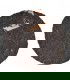 Pu Erh Ming Lee Ripe 2011