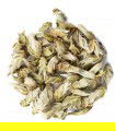 PU ERH BLANCO SILVER BUD