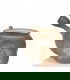 Tetera Tokoname Kyusu Junzuo