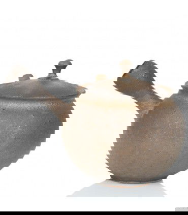 Tetera Tokoname Kyusu Junzuo