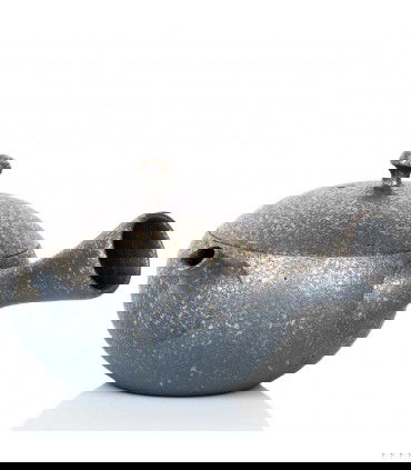 Tetera Tokoname Kyusu