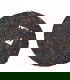 Pu Erh