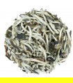 Té Blanco Pai Mu Tan