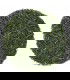 Té Gyokuro Tennen Asatsuyu Bio