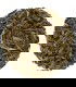Té verde sin cafeína