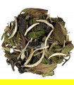 Té Blanco Pai Mu Tan