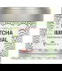 Comprar Kit de Té Matcha Premium - Tienda de Té Japonés Online