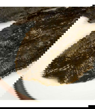 Detalle Hoja húmeda dong ding