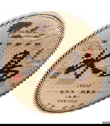 Pu Erh Bing Dao Gu Shu Raw 2023