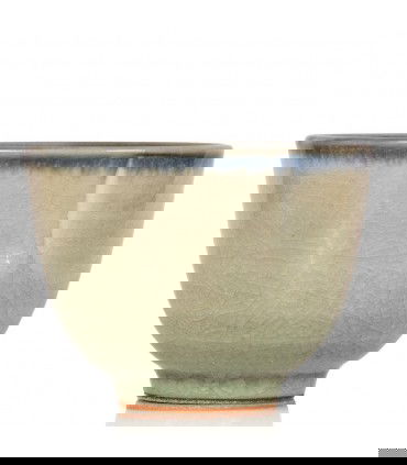 Yunomi Mifukai | Elegancia Invernal en Cerámica para Sencha Japonés