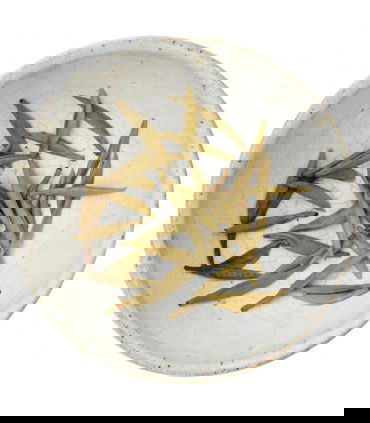 Hebras húmedas de silver Needle