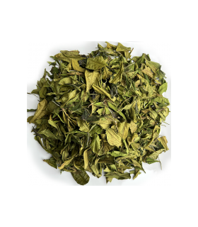 Té Blanco de Primavera - Tés Gourmet limitados para los más exigentes