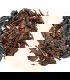 Pu Erh Shu Cha Da Ye año 2002