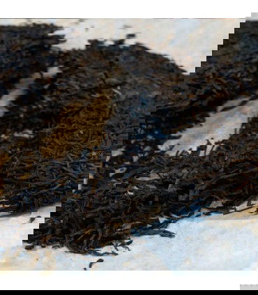 Pu Erh  Wang Bing Zi Yo Cha interior