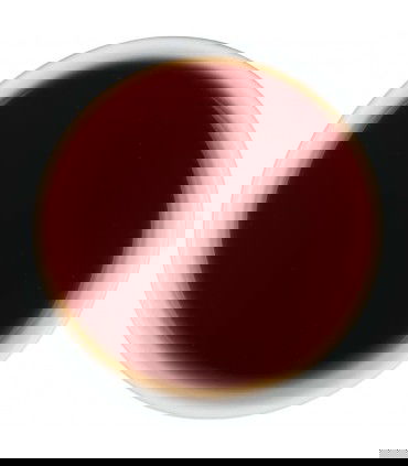 Pu Erh de alta calidad
