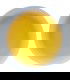 Licor te blanco ruby 18