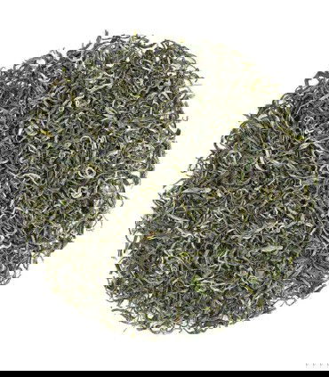 Gu Zhang Mao Jian