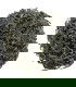 Misty Green Premium - Compra Online los mejores tés | Punto de Té ®