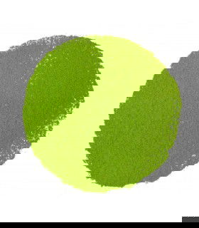Polvo de té matcha Ujicha