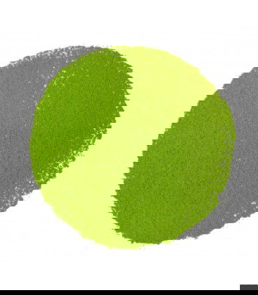Polvo de té matcha Ujicha