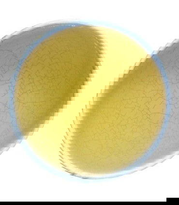 Licor de té Oolong de taiwan