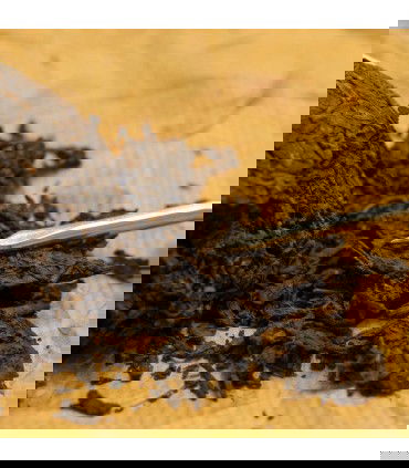 hebras separadas nido de 100g