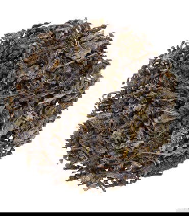 wenshan baozhong traditional style