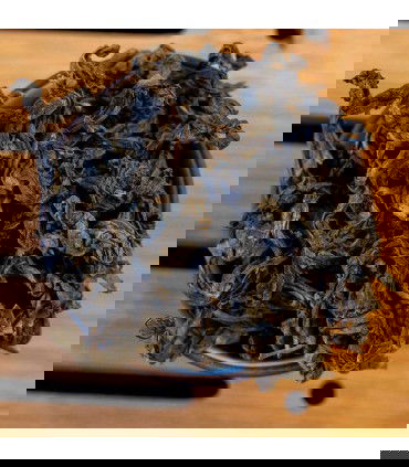 wenshan baozhong zenital