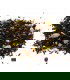 Té negro Thai Chai