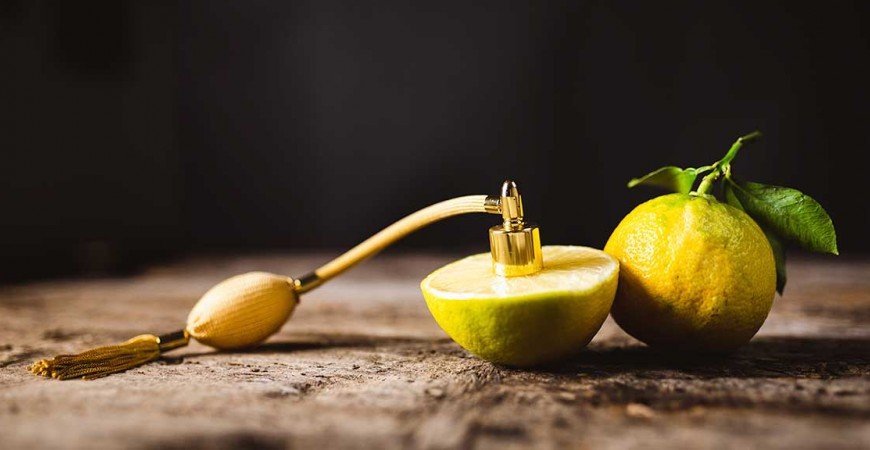 ¿Qué es el Té Earl Grey? Origen y Variedades