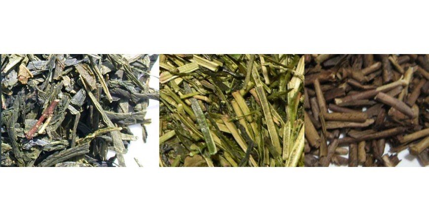 Té verde Japonés  Bancha, Kukicha y Hojicha