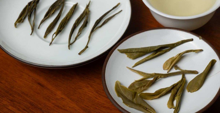 Descubre los Tesoros del Té: Una Guía por los Más Exquisitos del Mundo