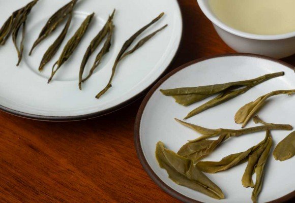 Descubre los Tesoros del Té: Una Guía por los Más Exquisitos del Mundo