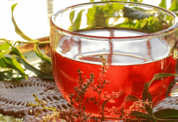 Desconecta y Relájate: Una Guía de Tés e Infusiones para el Bienestar