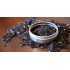 Mezclas con Té Negro: equilibrio, carácter y aroma en cada taza