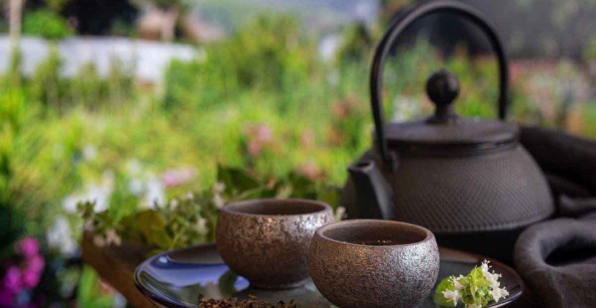 ¿Cuál es mejor el té rojo o té verde? 