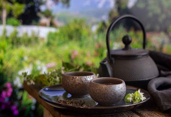 ¿Cuál es mejor el té rojo o té verde? 